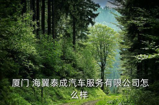  廈門(mén) 海翼泰成汽車服務(wù)有限公司怎么樣
