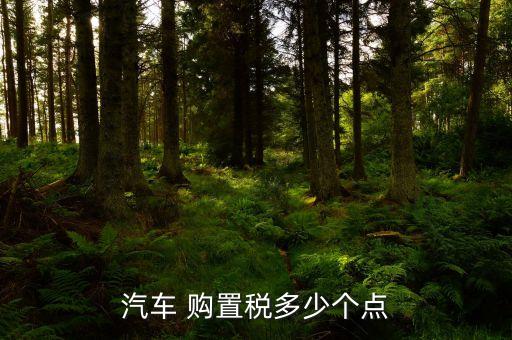 汽車 購置稅多少個點(diǎn)