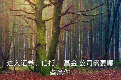 進(jìn)入證券、信托、 基金 公司需要哪些條件