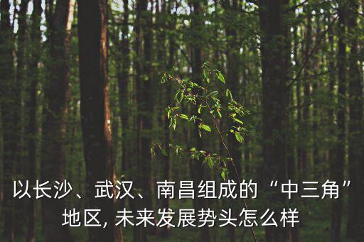 以長(zhǎng)沙、武漢、南昌組成的“中三角”地區(qū), 未來(lái)發(fā)展勢(shì)頭怎么樣