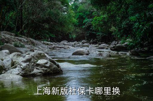  上海新版社?？睦飺Q
