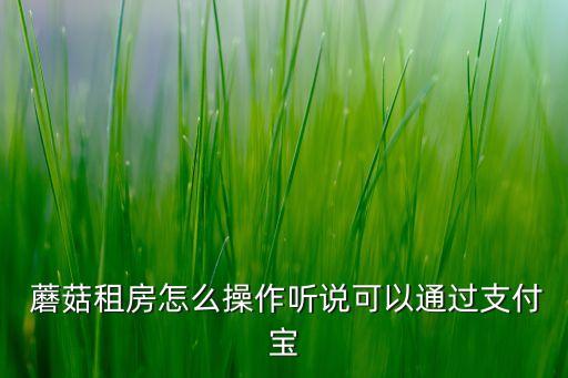  蘑菇租房怎么操作聽說(shuō)可以通過(guò)支付寶