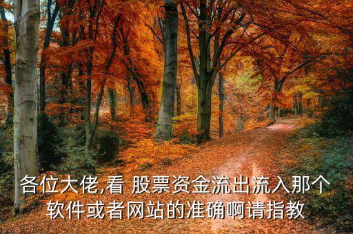 各位大佬,看 股票資金流出流入那個(gè)軟件或者網(wǎng)站的準(zhǔn)確啊請(qǐng)指教