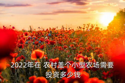 2022年在 農(nóng)村蓋個(gè)小型農(nóng)場需要 投資多少錢