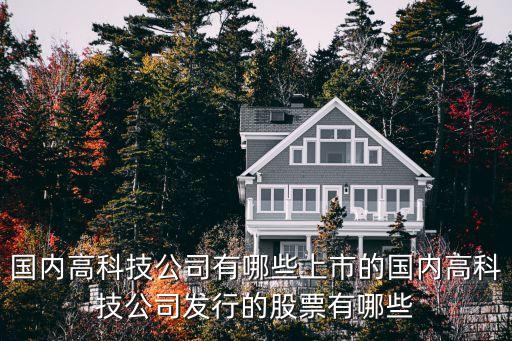 國內高科技公司有哪些上市的國內高科技公司發(fā)行的股票有哪些