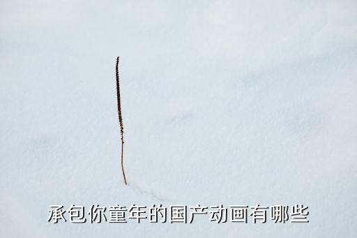承包你童年的國(guó)產(chǎn)動(dòng)畫有哪些