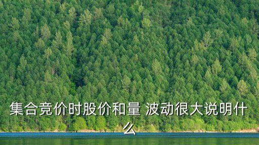 集合競價(jià)時(shí)股價(jià)和量 波動(dòng)很大說明什么