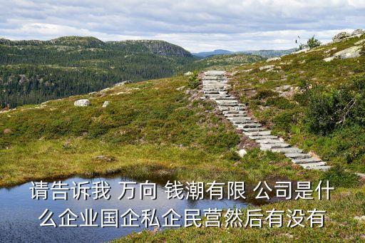 請(qǐng)告訴我 萬(wàn)向 錢(qián)潮有限 公司是什么企業(yè)國(guó)企私企民營(yíng)然后有沒(méi)有