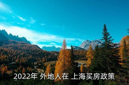 2022年 外地人在 上海買(mǎi)房政策