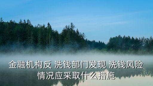 金融機構(gòu)反 洗錢部門發(fā)現(xiàn) 洗錢風(fēng)險情況應(yīng)采取什么措施