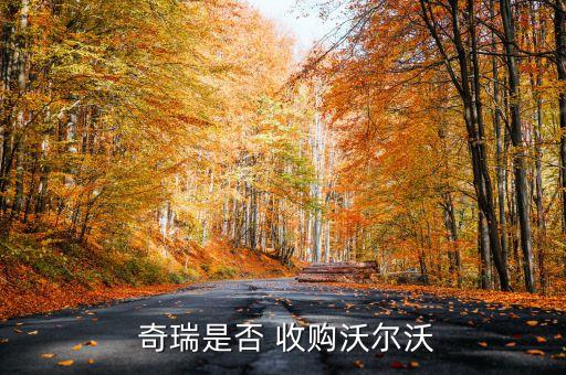  奇瑞是否 收購沃爾沃