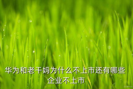 中國(guó)無(wú)初創(chuàng)企業(yè),初創(chuàng)企業(yè)是什么意思