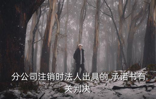  分公司注銷(xiāo)時(shí)法人出具的 承諾書(shū)有關(guān)判決