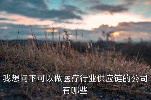 我想問下可以做醫(yī)療行業(yè)供應鏈的公司有哪些