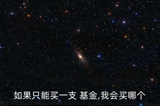 如果只能買(mǎi)一支 基金,我會(huì)買(mǎi)哪個(gè)