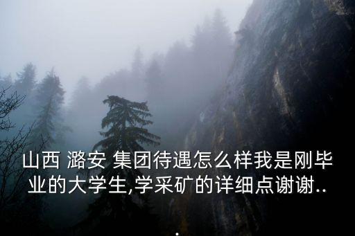 山西 潞安 集團待遇怎么樣我是剛畢業(yè)的大學生,學采礦的詳細點謝謝...
