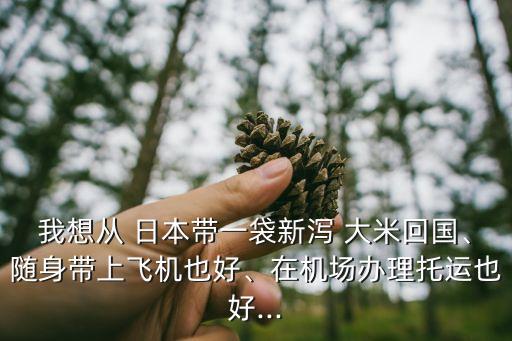 我想從 日本帶一袋新瀉 大米回國、隨身帶上飛機(jī)也好、在機(jī)場辦理托運(yùn)也好...