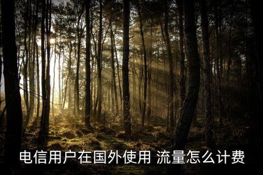 中國電信國際漫游流量,中國移動無限流量怎么辦理