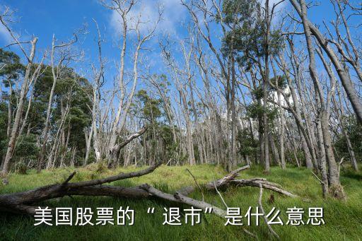 美國(guó)退市上市公司,在美國(guó)上市公司退市,怎樣給投資者賠償