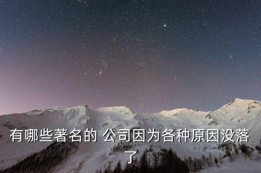 有哪些著名的 公司因為各種原因沒落了