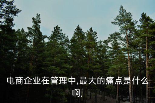 電商企業(yè)在管理中,最大的痛點(diǎn)是什么啊,
