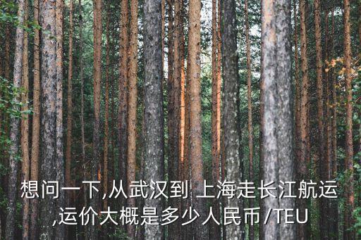 想問一下,從武漢到 上海走長江航運,運價大概是多少人民幣/TEU