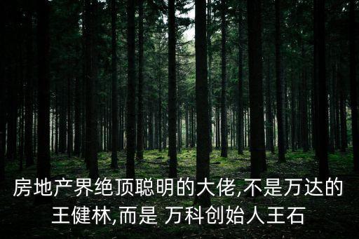 房地產(chǎn)界絕頂聰明的大佬,不是萬(wàn)達(dá)的王健林,而是 萬(wàn)科創(chuàng)始人王石