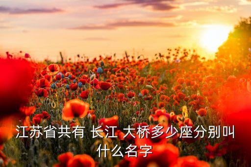 江蘇省共有 長江 大橋多少座分別叫什么名字