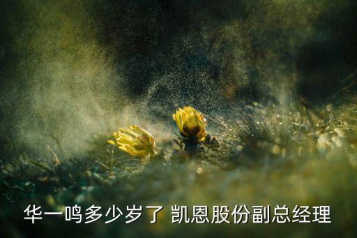 凱恩集團(tuán)原董事長(zhǎng),重慶凱恩國(guó)際董事長(zhǎng)是誰(shuí)