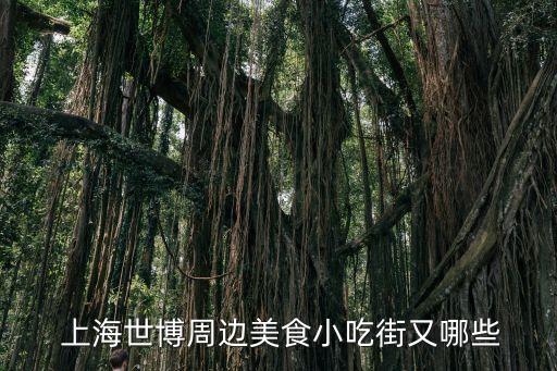 上海滿(mǎn)蘇實(shí)業(yè)有限公司,上海蘇觀實(shí)業(yè)有限公司