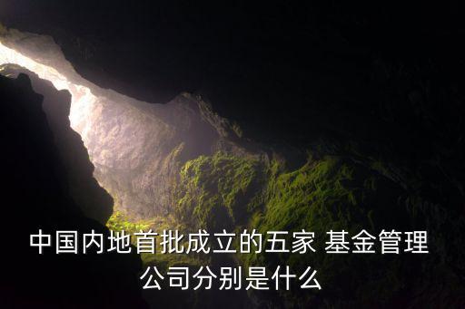 中國內(nèi)地首批成立的五家 基金管理 公司分別是什么