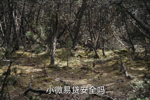 郵政儲(chǔ)蓄銀行小微金融,中國郵政儲(chǔ)蓄銀行針對小微企業(yè)貸款的產(chǎn)品