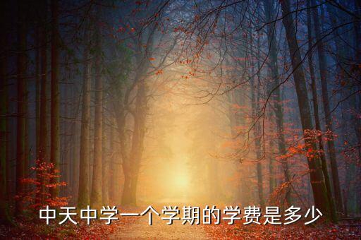 中天中學一個學期的學費是多少