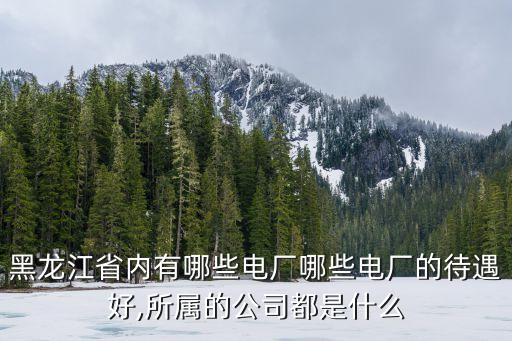黑龍江省內(nèi)有哪些電廠(chǎng)哪些電廠(chǎng)的待遇好,所屬的公司都是什么