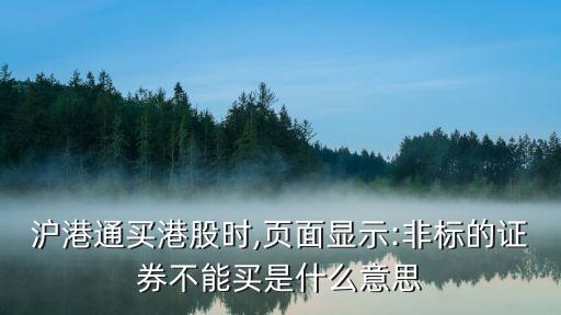 滬港通買港股時(shí),頁(yè)面顯示:非標(biāo)的證券不能買是什么意思
