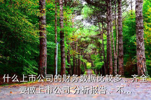 什么上市公司的財務(wù)數(shù)據(jù)比較多、齊全要做上市公司 分析報告、不...