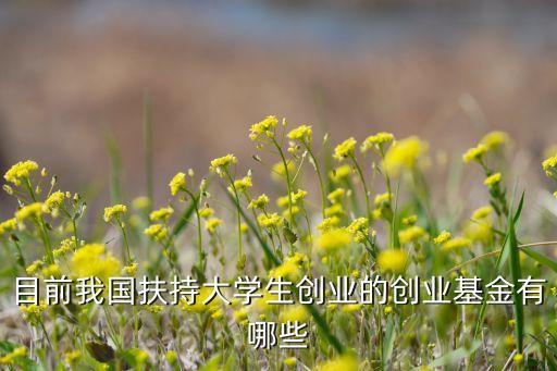 國(guó)家支持的創(chuàng)業(yè)投資項(xiàng)目,以下屬于創(chuàng)業(yè)投資項(xiàng)目選擇的標(biāo)準(zhǔn)格式