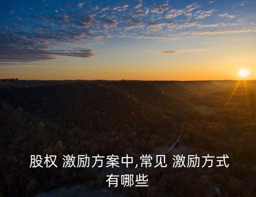  股權 激勵方案中,常見 激勵方式有哪些