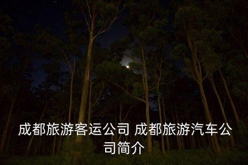  成都旅游客運(yùn)公司 成都旅游汽車公司簡介