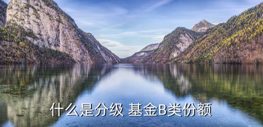 什么是分級(jí) 基金B(yǎng)類份額