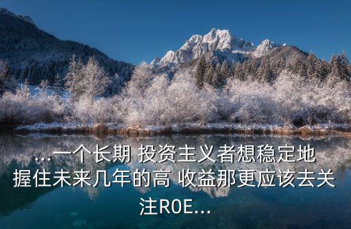 ...一個(gè)長(zhǎng)期 投資主義者想穩(wěn)定地握住未來幾年的高 收益那更應(yīng)該去關(guān)注R0E...