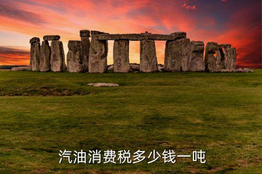 中國(guó)汽油稅收,汽油的稅收是多少