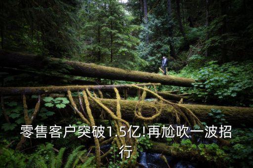 招商銀行財務(wù)數(shù)據(jù)