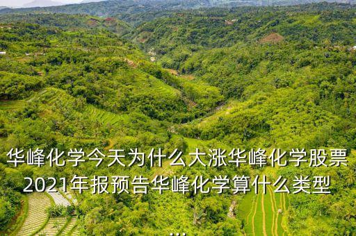 華峰化學今天為什么大漲華峰化學股票2021年報預告華峰化學算什么類型...