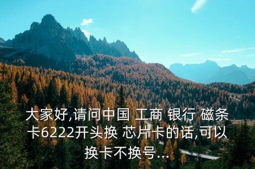 大家好,請(qǐng)問(wèn)中國(guó) 工商 銀行 磁條卡6222開(kāi)頭換 芯片卡的話,可以換卡不換號(hào)...
