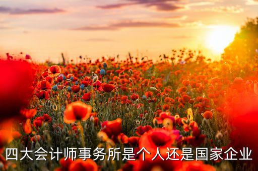 四大會計師事務所是個人還是國家企業(yè)