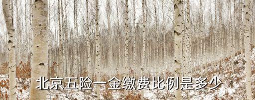  北京五險一金繳費比例是多少