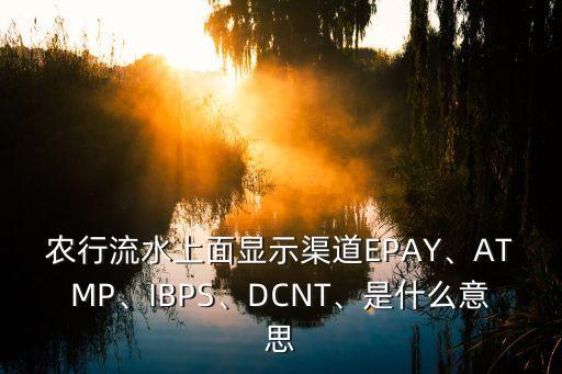 農(nóng)行流水上面顯示渠道EPAY、ATMP、IBPS、DCNT、是什么意思