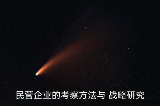 民營企業(yè)的考察方法與 戰(zhàn)略研究
