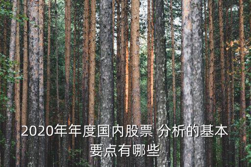 2020年年度國內(nèi)股票 分析的基本要點(diǎn)有哪些